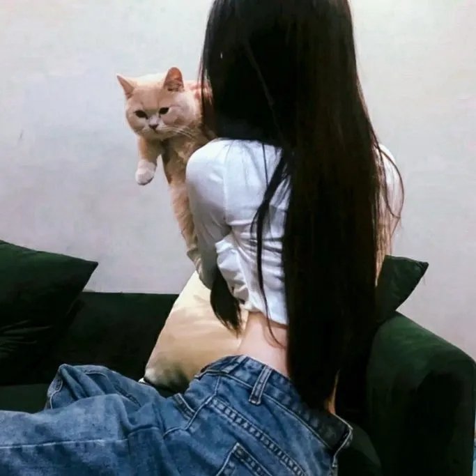 曼迪