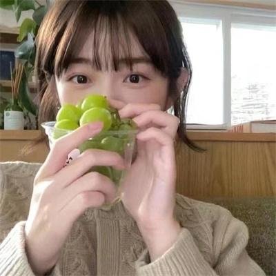 芬妮的旅程